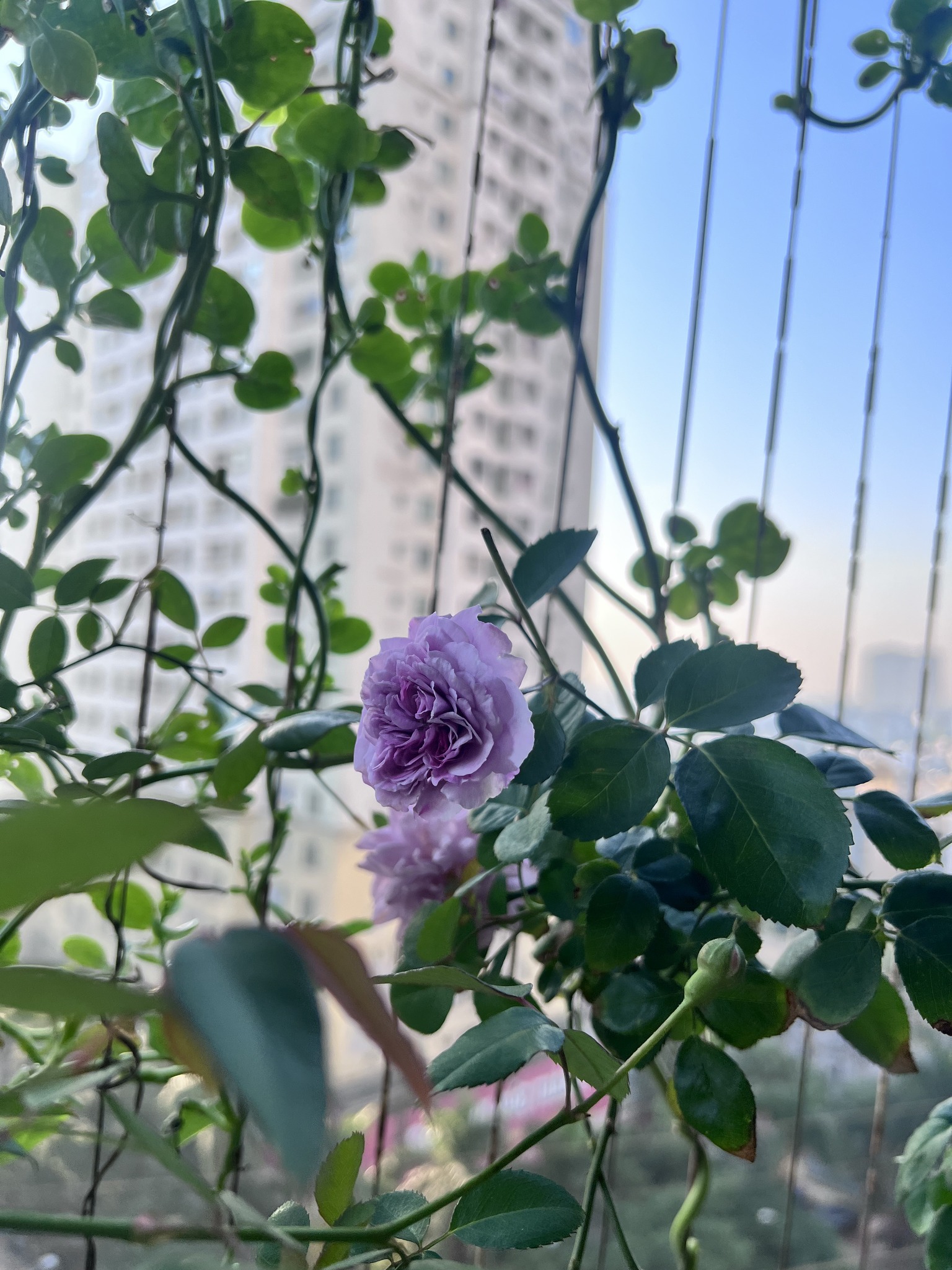 Có những đoạn đường trong đời, đi qua rồi mới biết mình đã cố gắng nhiều đến thế 🌿