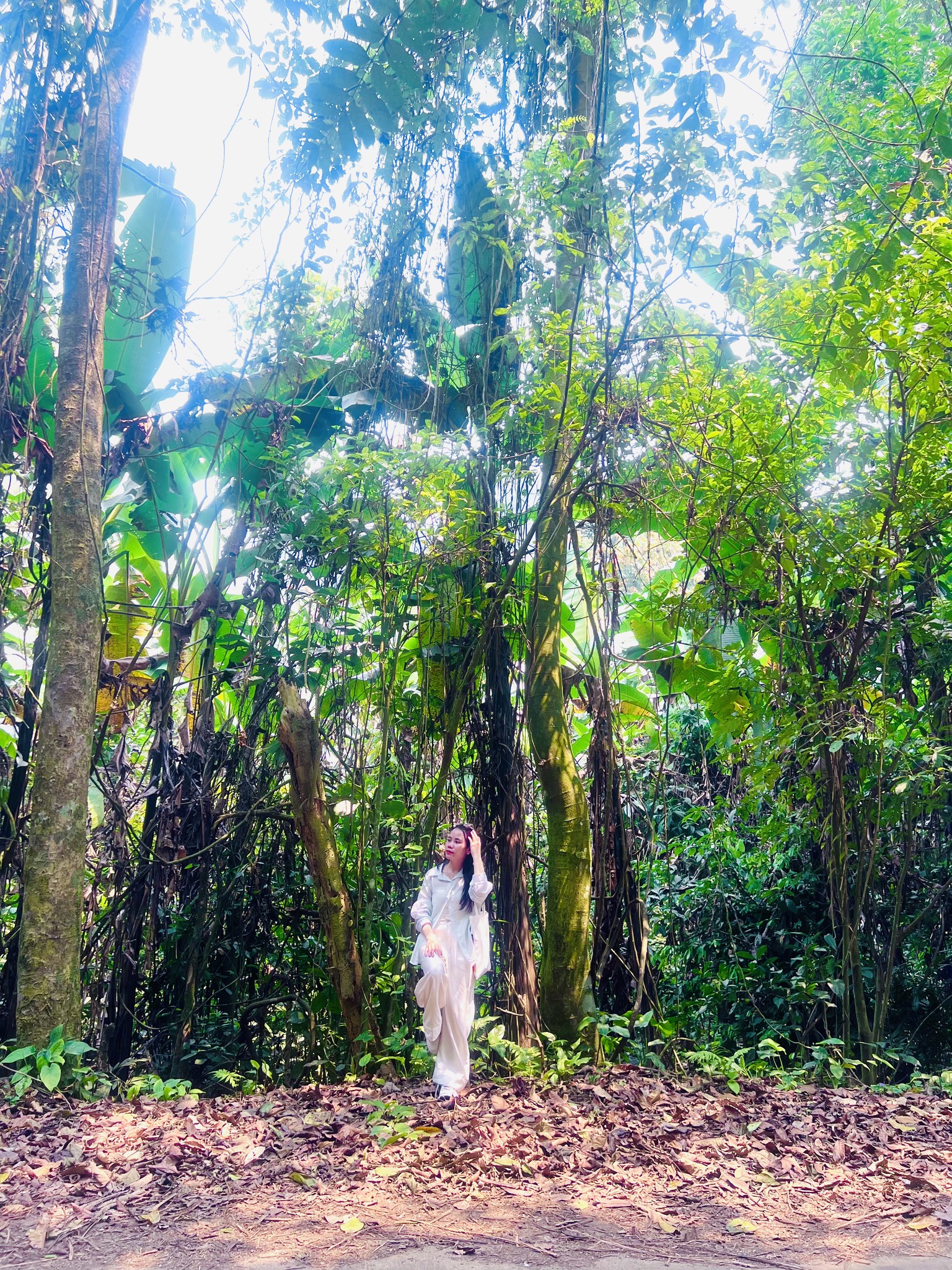 Tớ thích lưu lại những khoảnh khắc xinh đẹp từ những thứ xung quanh mình