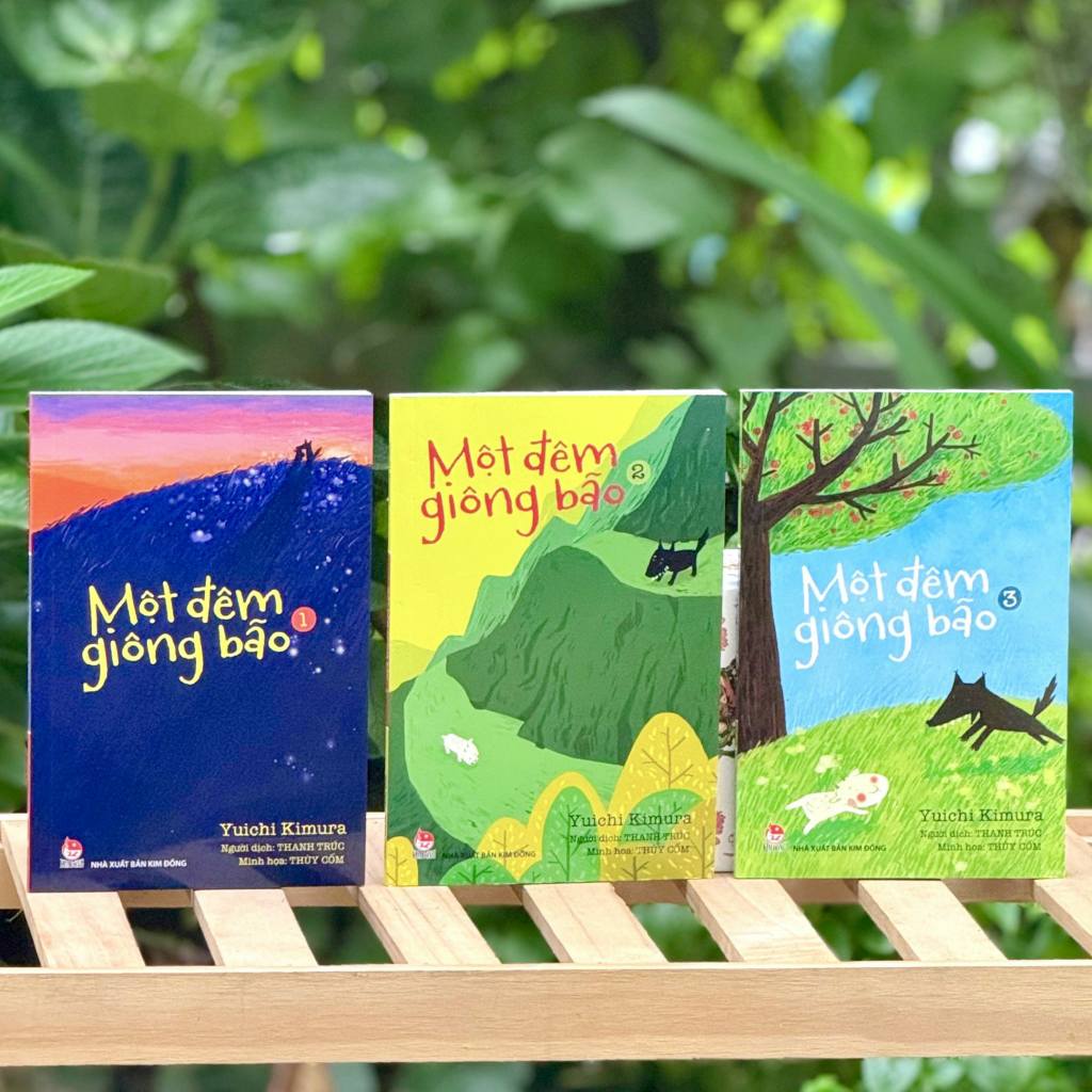 Một đêm giông bão