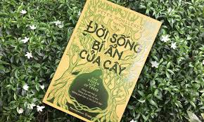 Đời sống bí ẩn của cây