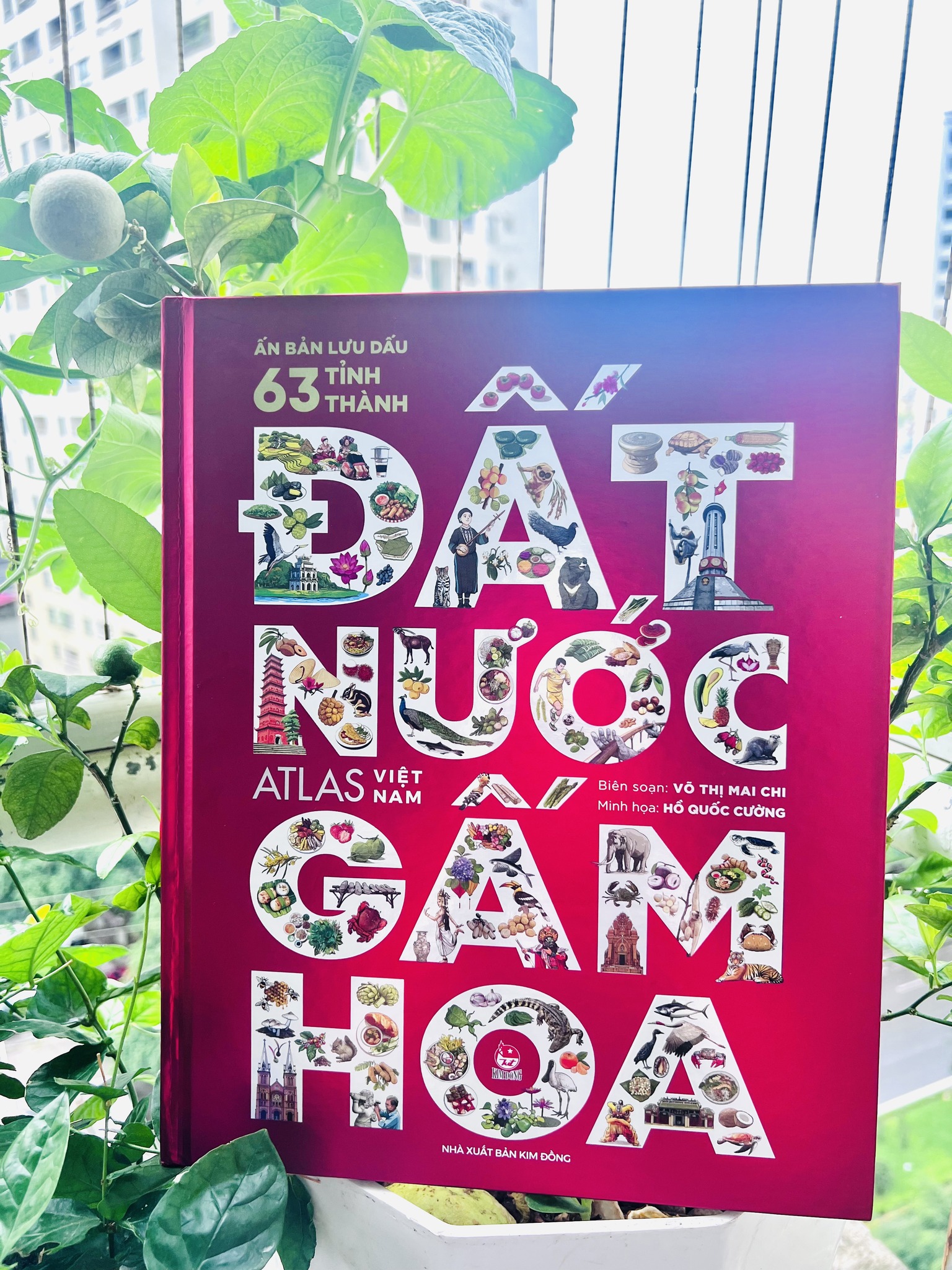 Đất nước gấm hoa