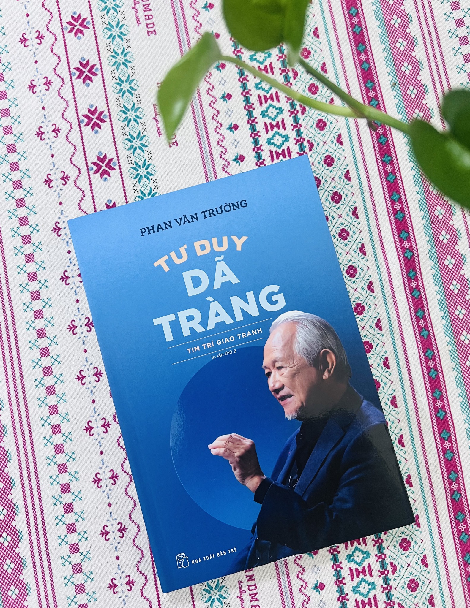 Tư duy dã tràng